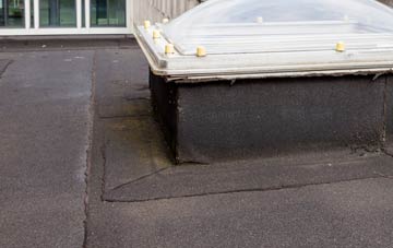 disadvantages of Custards flat roofs