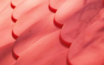 Custards plastic roof costs