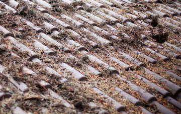 Custards roof cleaning companies