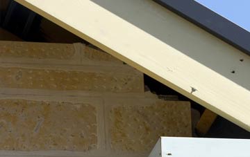 soffit repair Custards
