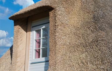 Custards thatch roof disadvantages