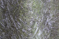 Custards fibreglass roof work